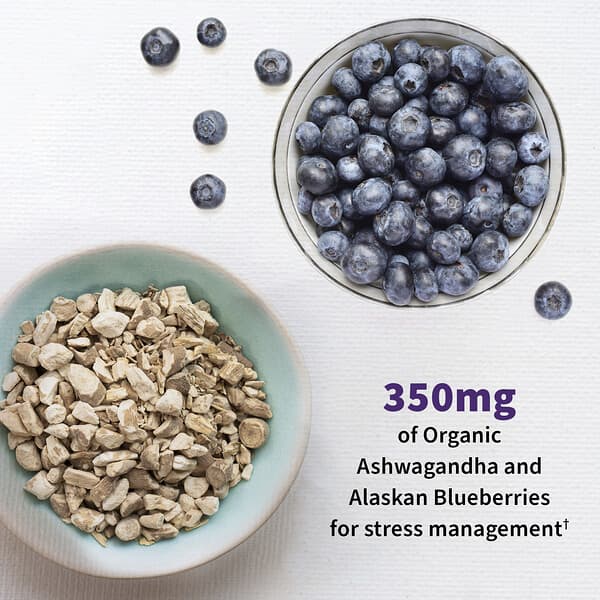 Alternative view of Garden of Life, Dr. Formulated Probiotics, Mood+, 60 Vegetarian Capsules