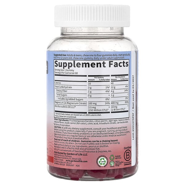Alternative view of Garden of Life, Magnesium with Pre & Probiotics Gummies, Raspberry, 60 Gummies