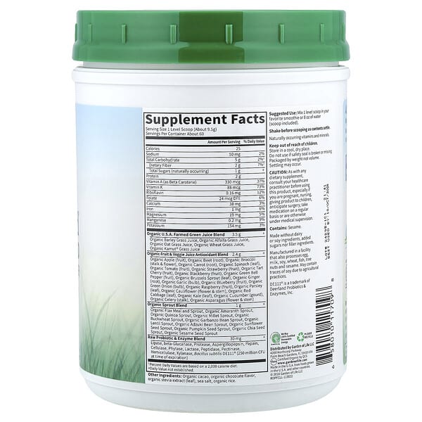 Alternative view of Garden of Life, Raw Organic Perfect Food® Green Super Food, Chocolate, 1 lb 4.10 oz (570 g)