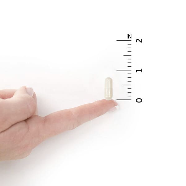 Alternative view of Garden of Life, Vitamin Code, RAW Calcium, 120 Vegetarian Capsules