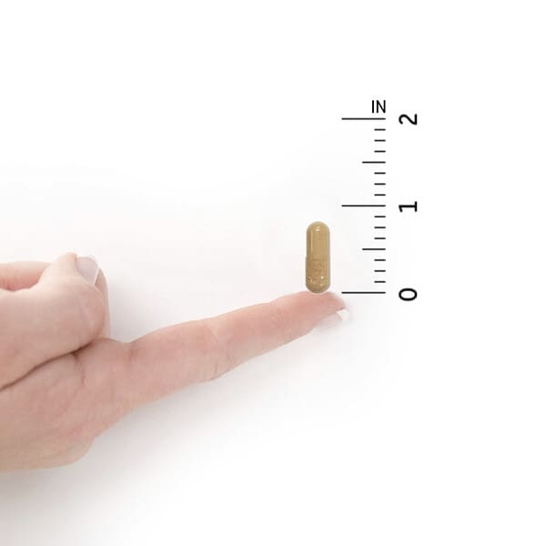 Alternative view of Garden of Life, Vitamin Code®, RAW Vitamin C™, 120 Vegan Capsules