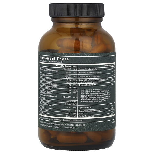 Alternative view of Global Healing, Organic Multivitamin with Minerals, 120 Capsules