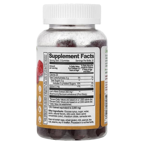 Alternative view of Lifeable, Kids, Lion's Mane Mushroom Gummies, Berry, 60 Gummies, (100 mg per Gummy)