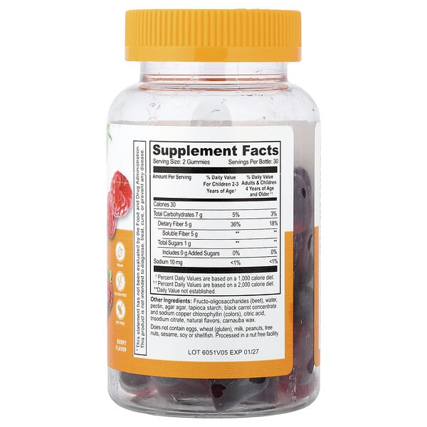 Alternative view of Lifeable, Kids, Prebiotic Fiber Gummies, Berry, 60 Gummies