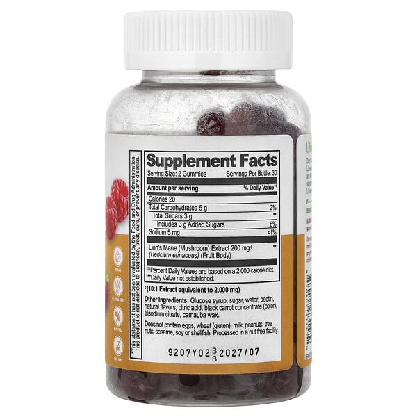 Alternative view of Lifeable, Lion's Mane Mushroom Gummies, Berry, 60 Gummies (100 mg per Gummy)