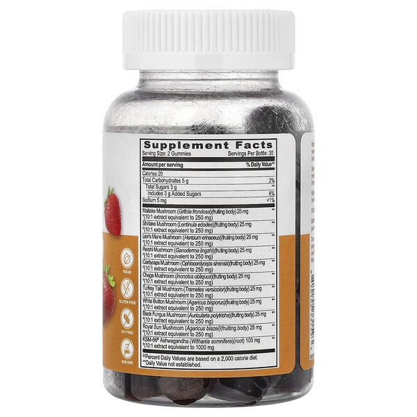 Alternative view of Lifeable, Mushroom + KSM-66® Ashwagandha Gummies, Strawberry, 60 Gummies