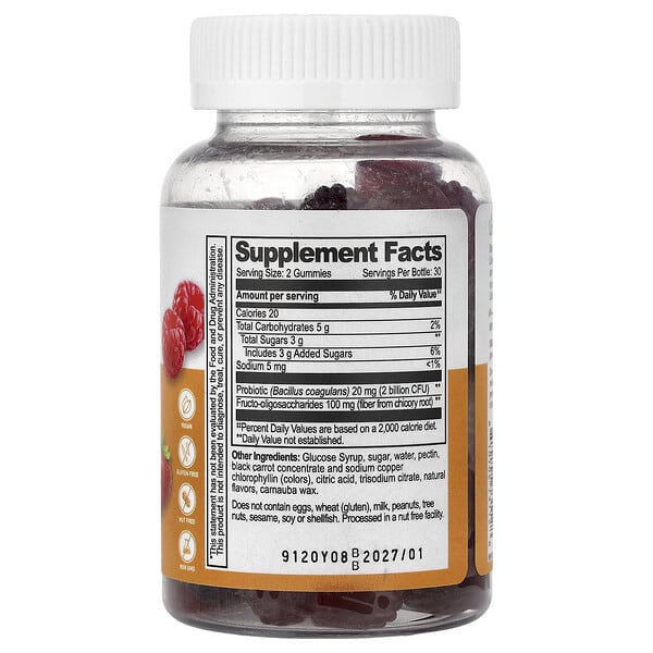 Alternative view of Lifeable, Probiotic With Prebiotic Fiber Gummies, Berry, 60 Gummies