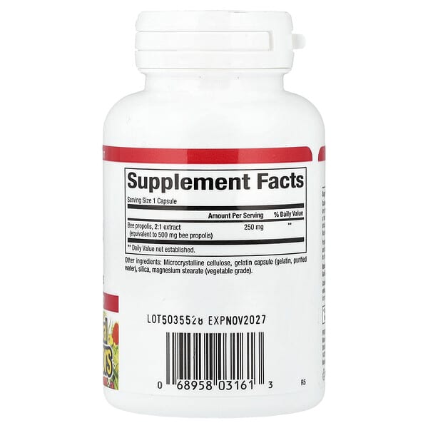 Alternative view of Natural Factors, Bee Propolis, 500 mg, 90 Capsules