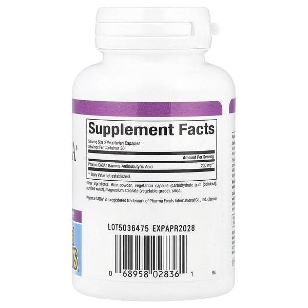 Alternative view of Natural Factors, Stress-Relax®, Pharma GABA®, 100 mg, 60 Vegetarian Capsules