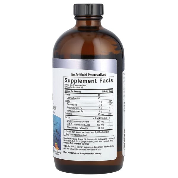 Alternative view of Nature's Answer, Liquid Omega-3, Deep Sea Fish Oil EPA/DHA, Orange, 16 fl oz (480 ml)