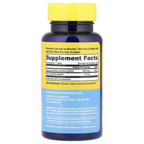 Alternative view of Nature's Life, Icelandic Kelp, 41 mg, 250 Tablets