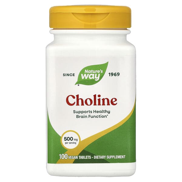 Nature's Way, Choline, 500 mg, 100 Vegan Tablets