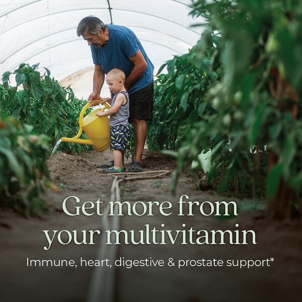 Alternative view of New Chapter, Every Man's One Daily 55+ Multivitamin, 72 Vegetarian Tablets