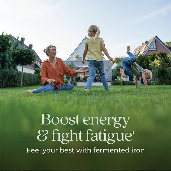 Alternative view of New Chapter, Fermented Iron Complex, 90 Vegetarian Tablets